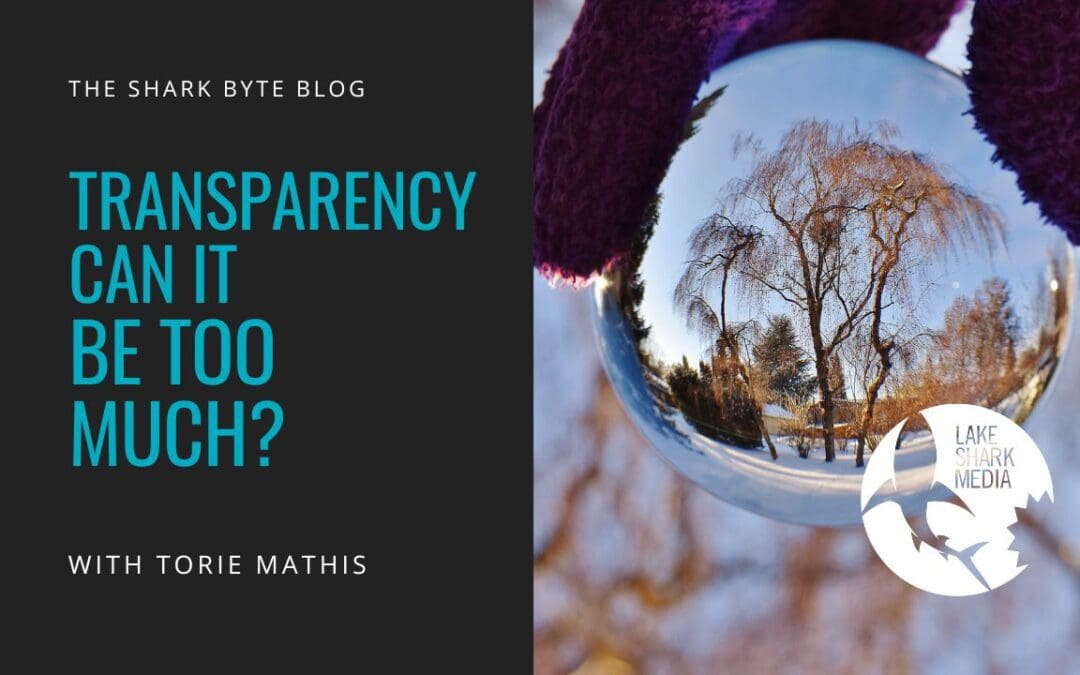 Transparency – Can it be too much?